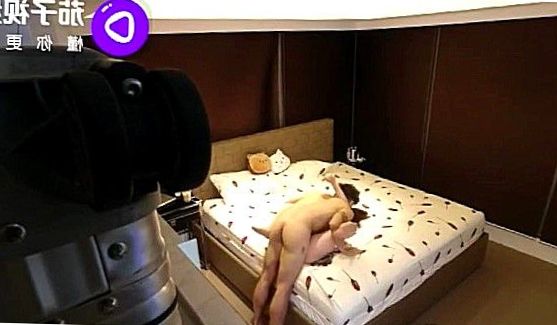 Кончил в бритую пизду, порно видео
